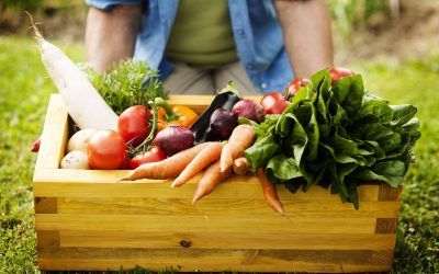Descubre los beneficios de pertenecer a un grupo de consumo