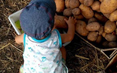 ¿ES SEGURO CRIAR A UN NIÑO VEGETARIANO?