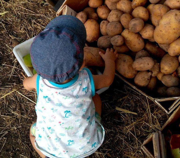 Es seguro criar un niño vegetariano