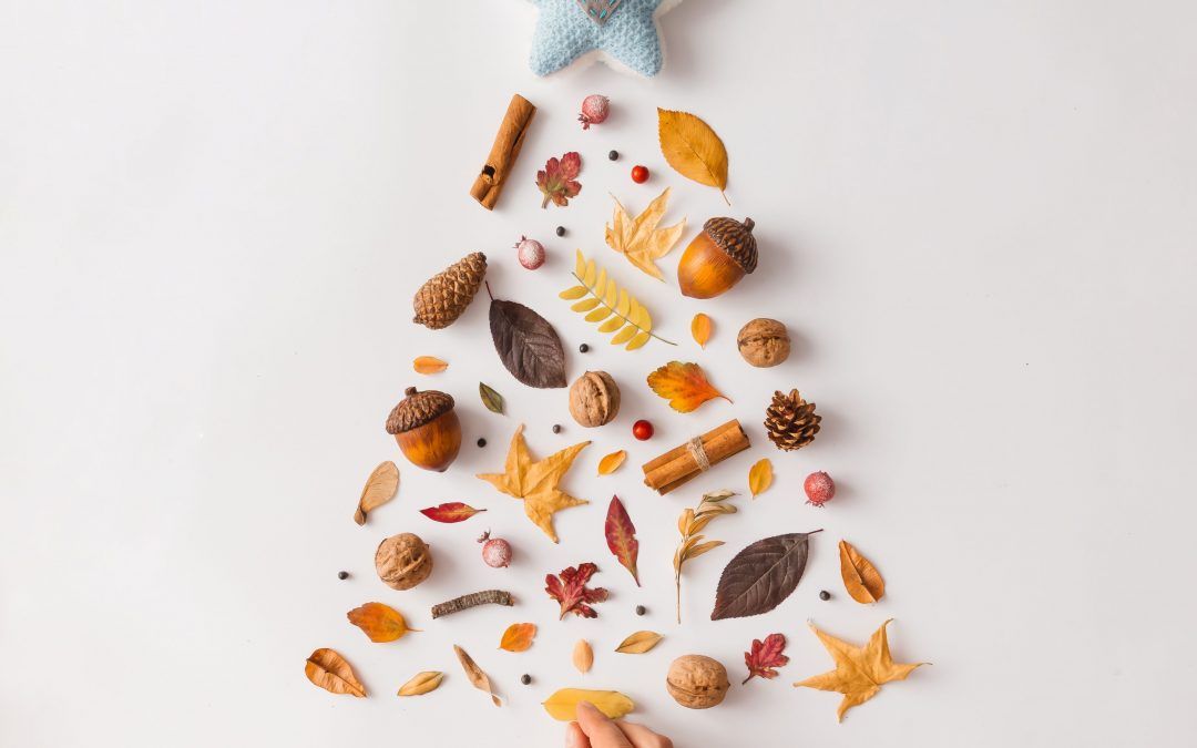 Una Navidad Laica o los orígenes de la Navidad