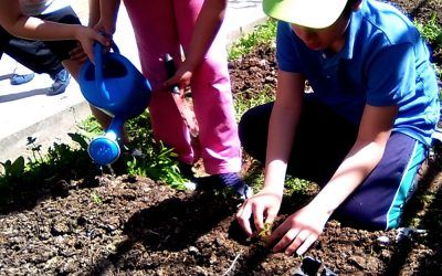 Sembrando igualdad: Mis chicos E.B.O, nuestro huerto ecológico y un diploma