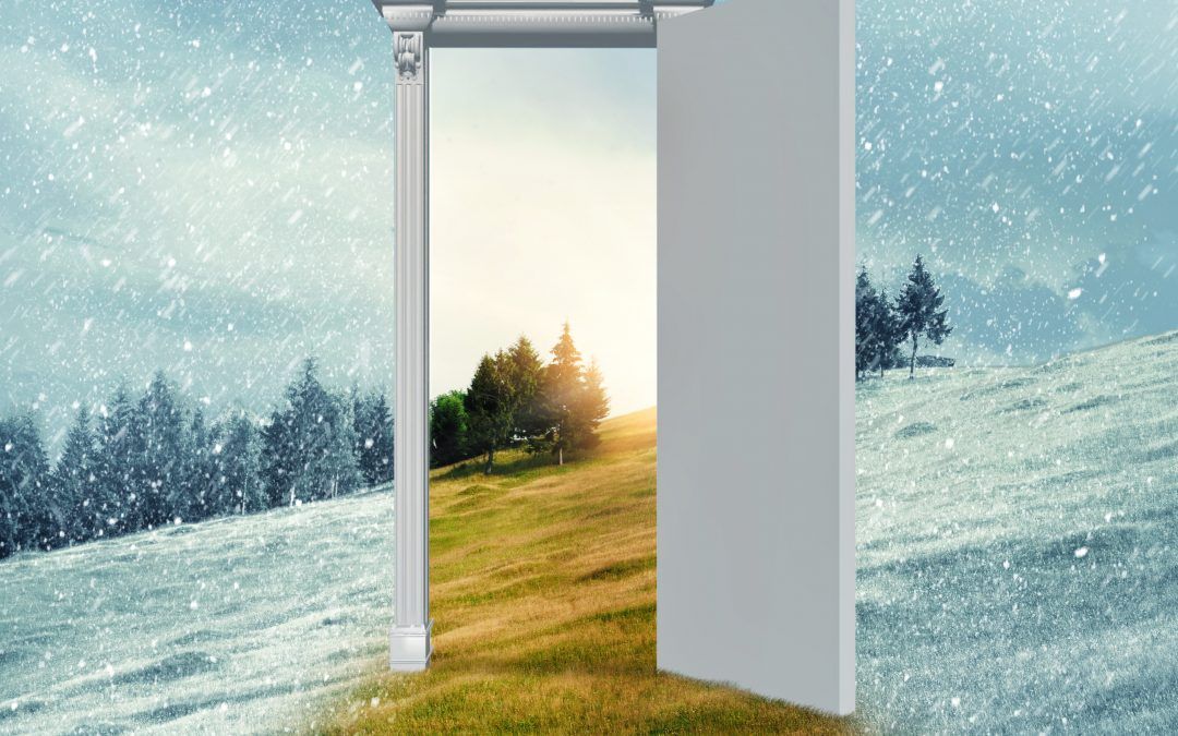 Emergencia climática, un caminante blanco en tu sofá