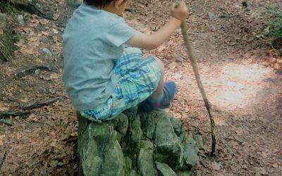 Ruta con niños por el Valle de Ordesa a Torla