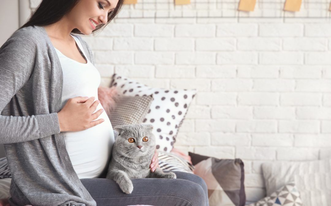 Cómo prevenir la toxoplasmosis en el embarazo
