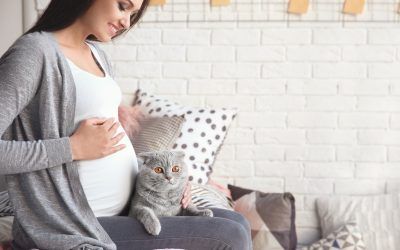 Cómo prevenir la toxoplasmosis en el embarazo